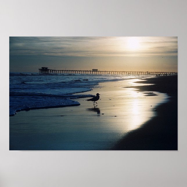 Póster Gull (Frente)