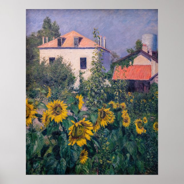 Póster Gustave Caillebotte - Girasoles, Jardín (Frente)