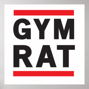 Póster Gym Rat