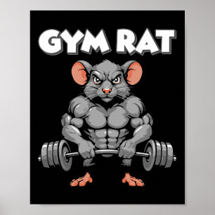 Póster Gym Rat Fitness Bodybuilding Workout Muscular Pump