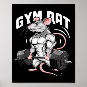 Póster Gym Rat Funny Bodybuilding Fitness Workout Gym Wei
