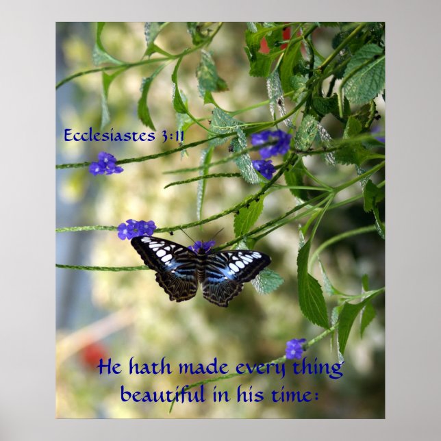 Póster Ha hecho de todo lo hermoso Poster (Frente)