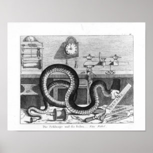 Póster Habilidad de la serpiente y los archivos