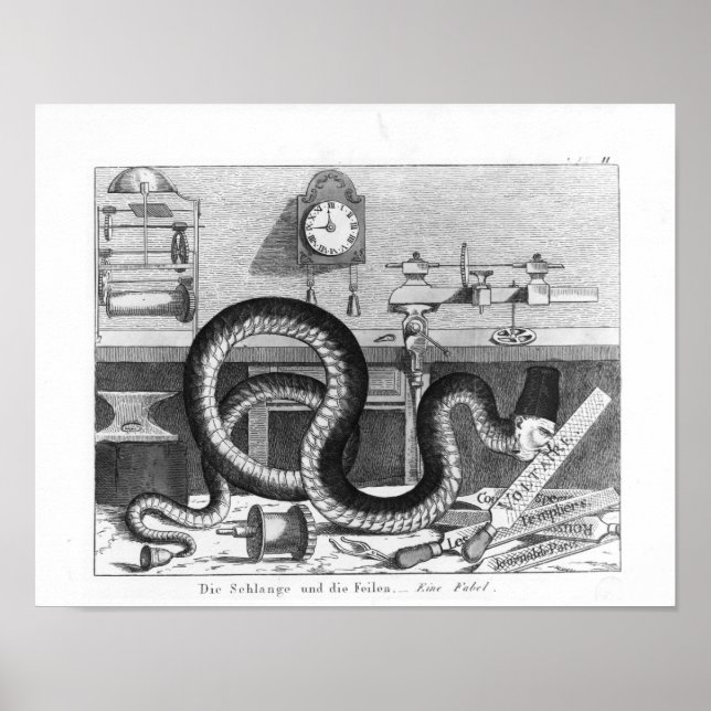 Póster Habilidad de la serpiente y los archivos (Frente)