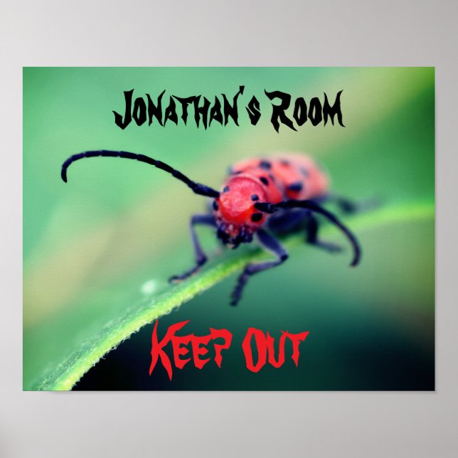 Póster Habitación de niños con insectos espantosos Pared  (Frente)
