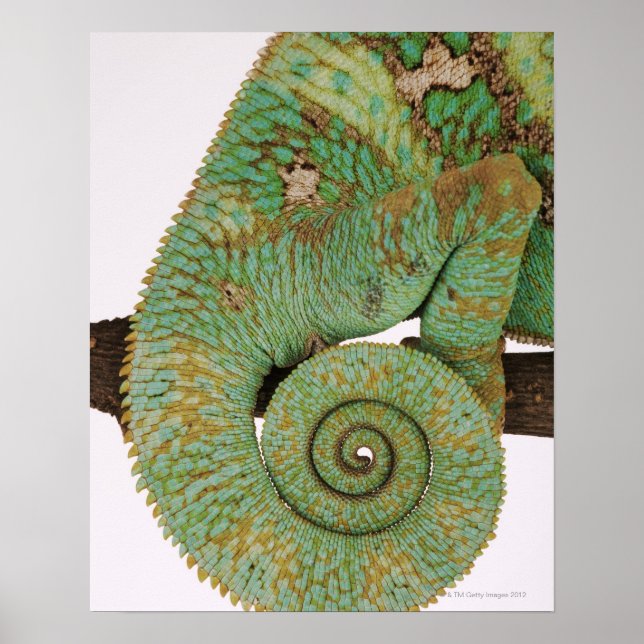 Póster Habitan zonas secas montañosas. Indígenas (Frente)