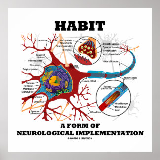 Póster Hábito Una Forma De Neurona De Implementación Neur