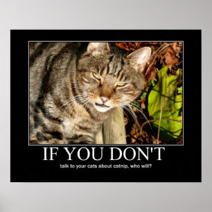 Póster Hablar de ilustraciones de Catnip