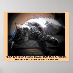 Póster Hable más tarde con Mary Bly