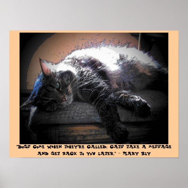 Póster Hable más tarde con Mary Bly (Frente)