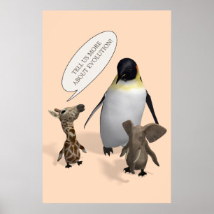 Póster Hablemos de la evolución