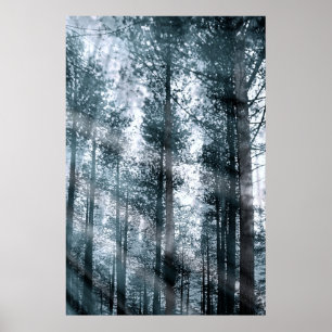 Póster Hablo con los árboles...