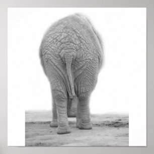 Póster Hace mi mirada del vago grande