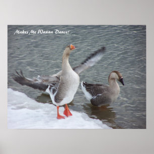 Póster ¡Hace que quiere bailar!