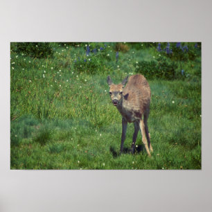 Póster Hacer frente