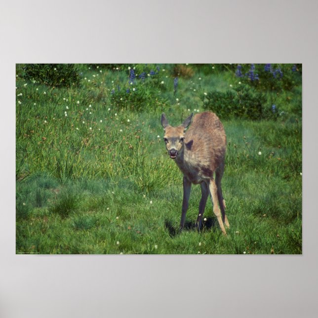 Póster Hacer frente (Frente)