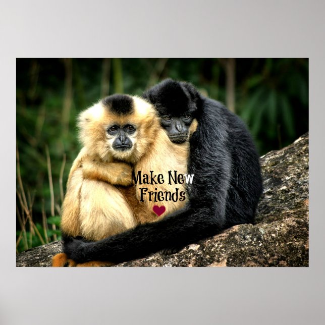 Póster "Hacer nuevos amigos" (Frente)