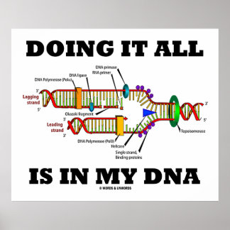 Póster Hacer Todo Está En Mi ADN (Replicación De ADN)