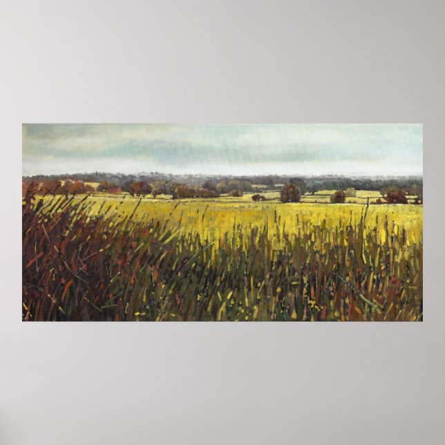 Póster Hacia Riseley 2012 (Frente)