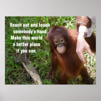 Póster Haciendo amigos de la vida salvaje de Orangutan