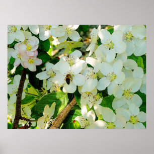 Póster Haciendo la miel