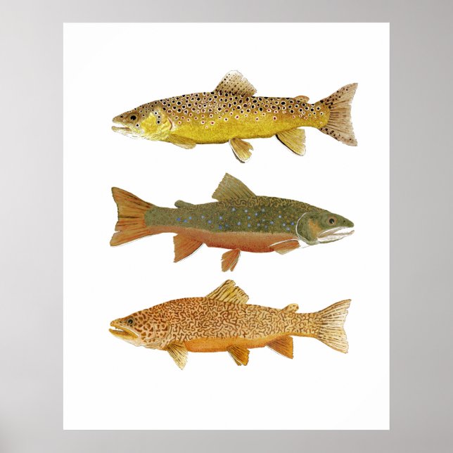 Póster Haciendo un tigre (Frente)