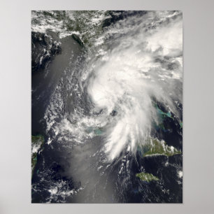 Póster Hada tropical 2 de la tormenta