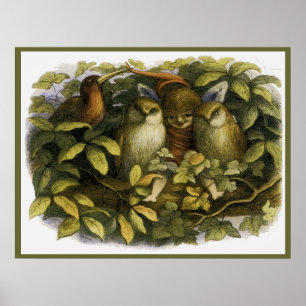 Póster "Hadas con lechuzas" por Doyle - Imprimir