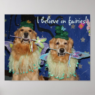 Póster Hadas del golden retriever