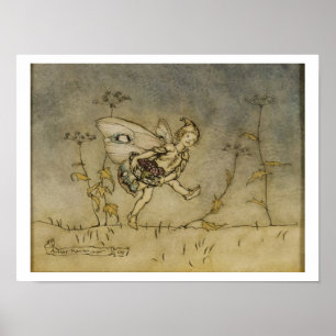 Póster Hadas, ilustracion de la zona de una noche de vera