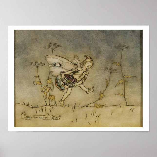 Póster Hadas, ilustracion de la zona de una noche de vera (Frente)