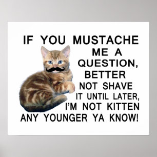 Póster Haga a gatito con un bigote una pregunta