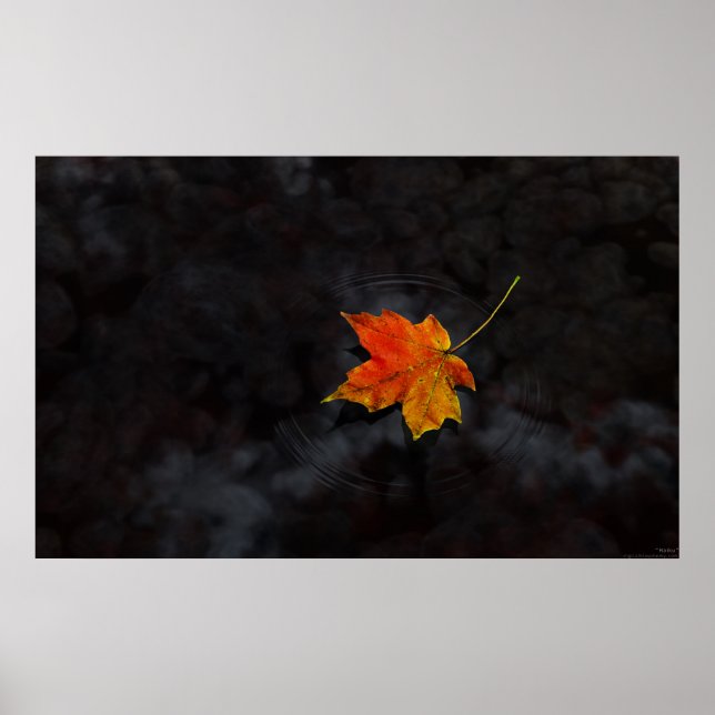 Póster Haiku (Frente)