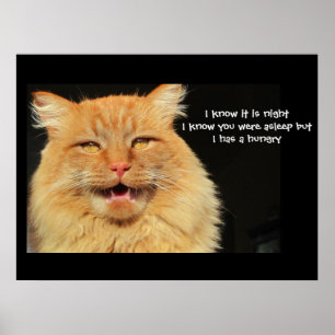 Póster Haiku hambriento del gato que habla