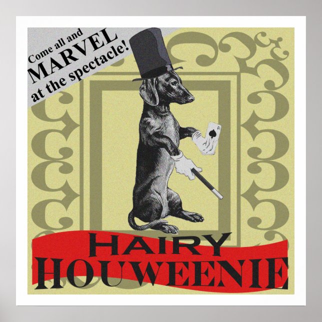 Póster ¡Hairy Houweenie! Poster del "Carnaval" de Perro W (Frente)