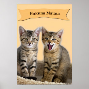 Póster Hakuna Matata kitten poster