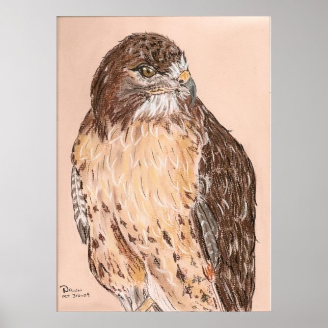 Póster Halcón (Frente)