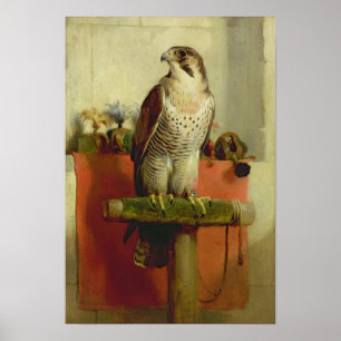 Póster Halcón, 1837