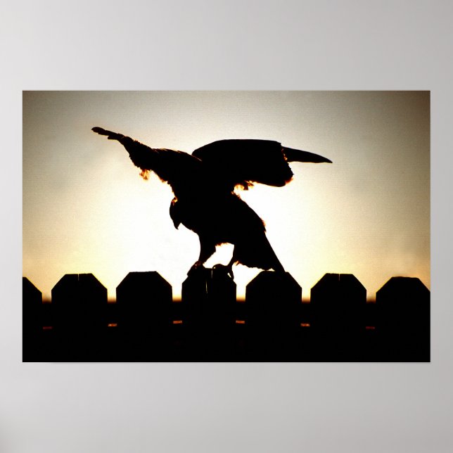 Póster Halcón en la cerca (Frente)