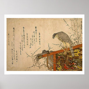 Póster Halcón en perca de la pantalla