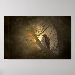 Póster halcón en rama de árbol