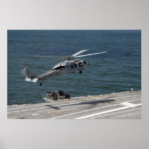 Póster Halcón marino SH-60