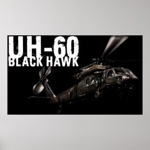 Póster Halcón negro
