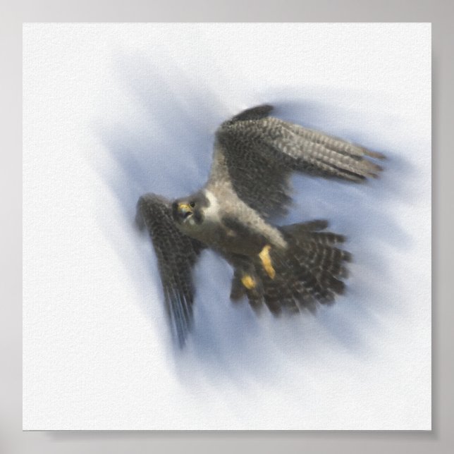 Póster Halcón Peregrino en vuelo (Frente)
