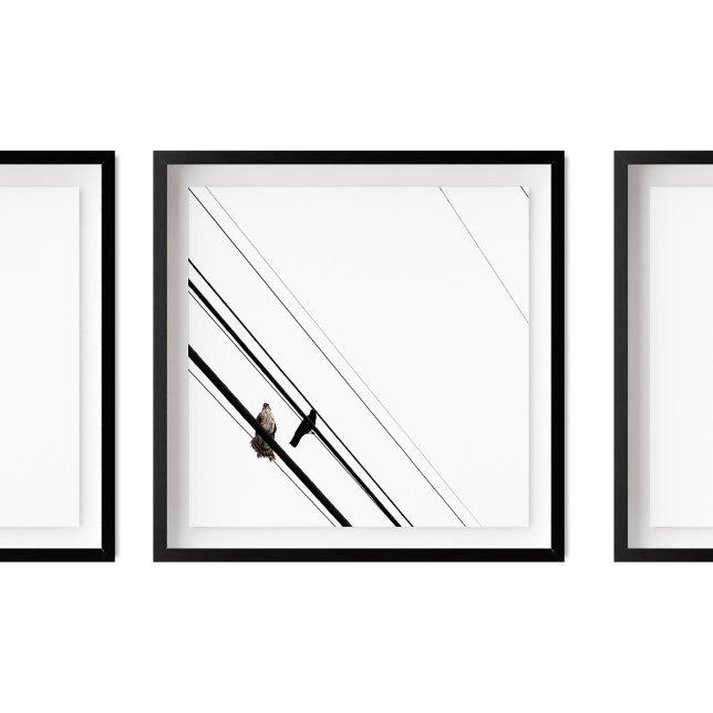 Póster Halcón y cuervo en las líneas eléctricas (Subido por el creador)