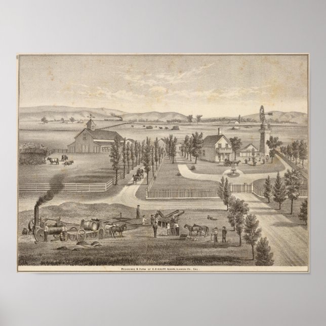 Póster Haley res, granja (Frente)