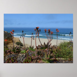 Póster Half Moon Bay & Aloe Vera Private Beach Poster