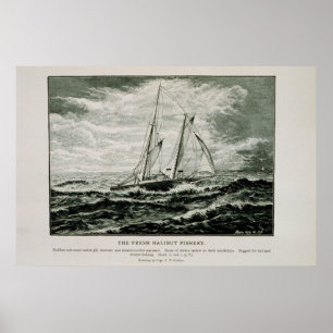 Póster Halibut schooner
