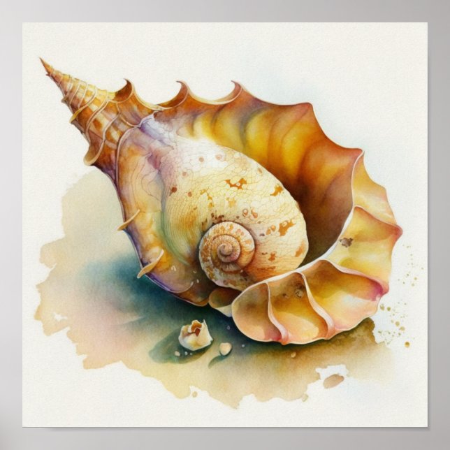 Póster Haliotis conch shell en poster acuarela (Frente)