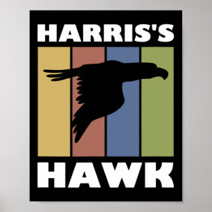 Póster Halk Falcon Hunter